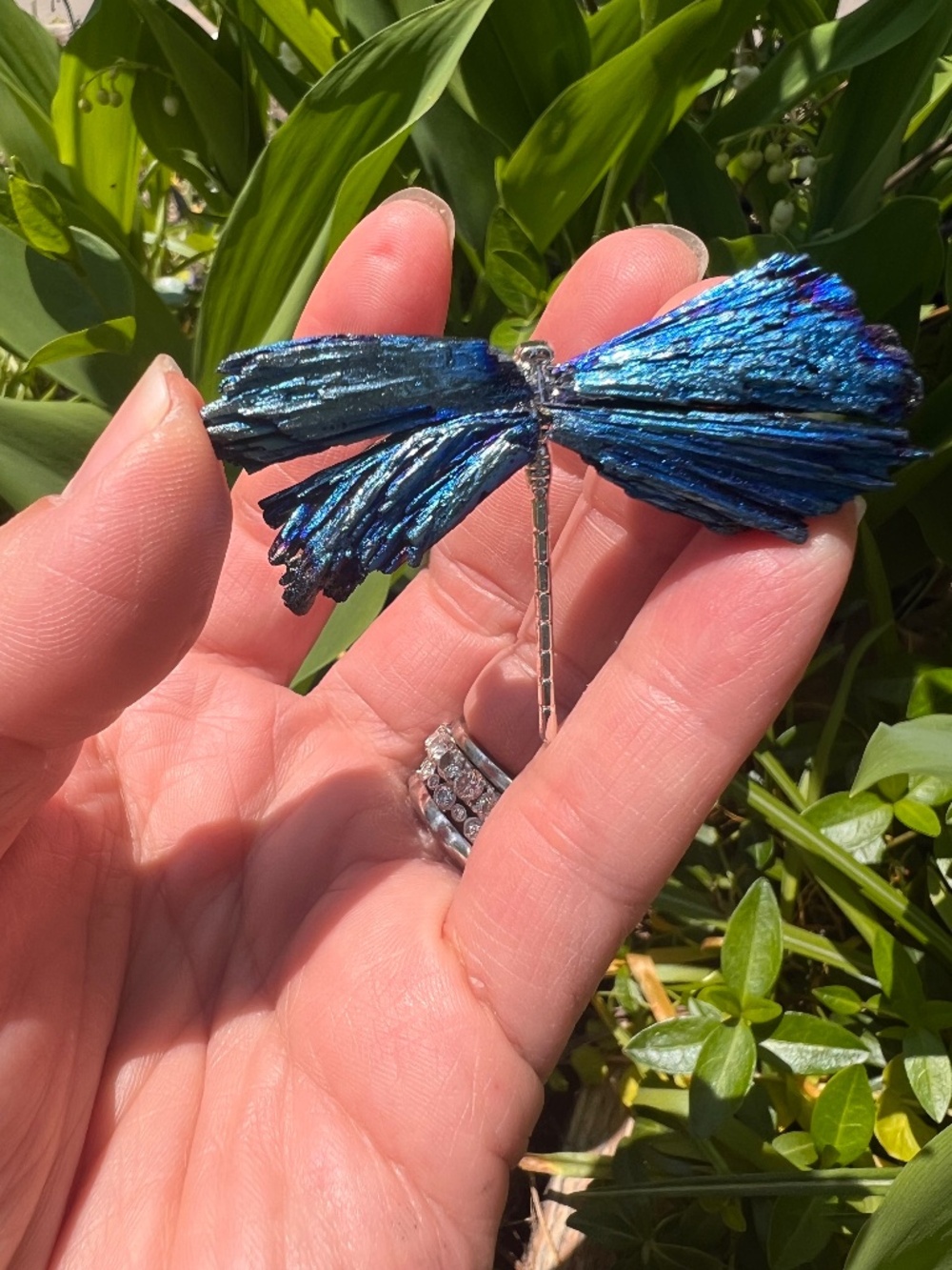 Aura (1) kyanite dragonlfy brooch  | crystal